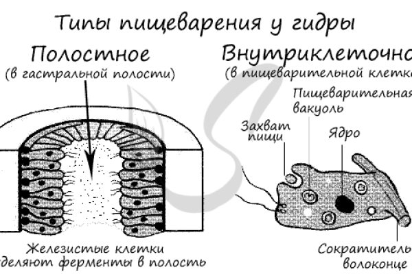 Не входит в кракен пользователь не найден