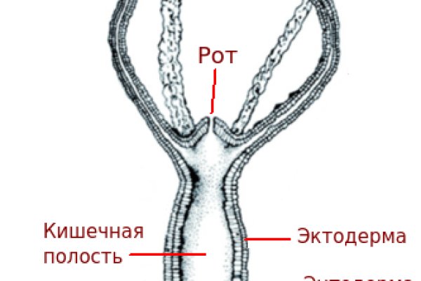 Как зайти на kraken в 2024