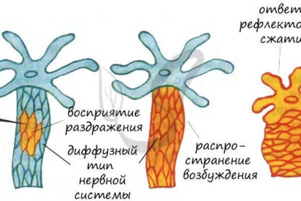 Kraken onion вход